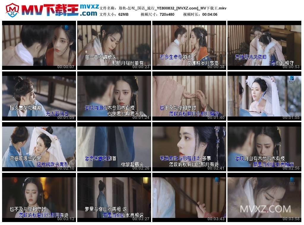 郑鱼-怎叹_国语_流行_YE800832